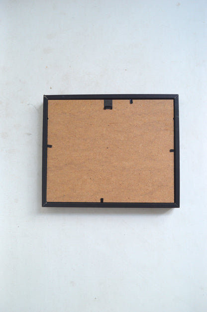 Cadre vitrine papillon