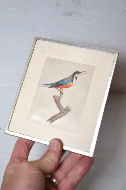 Cadre oiseau