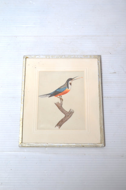 Cadre oiseau