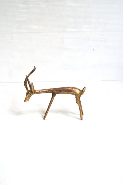 Gazelle africaine