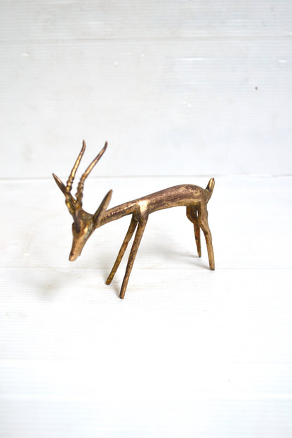 Gazelle africaine