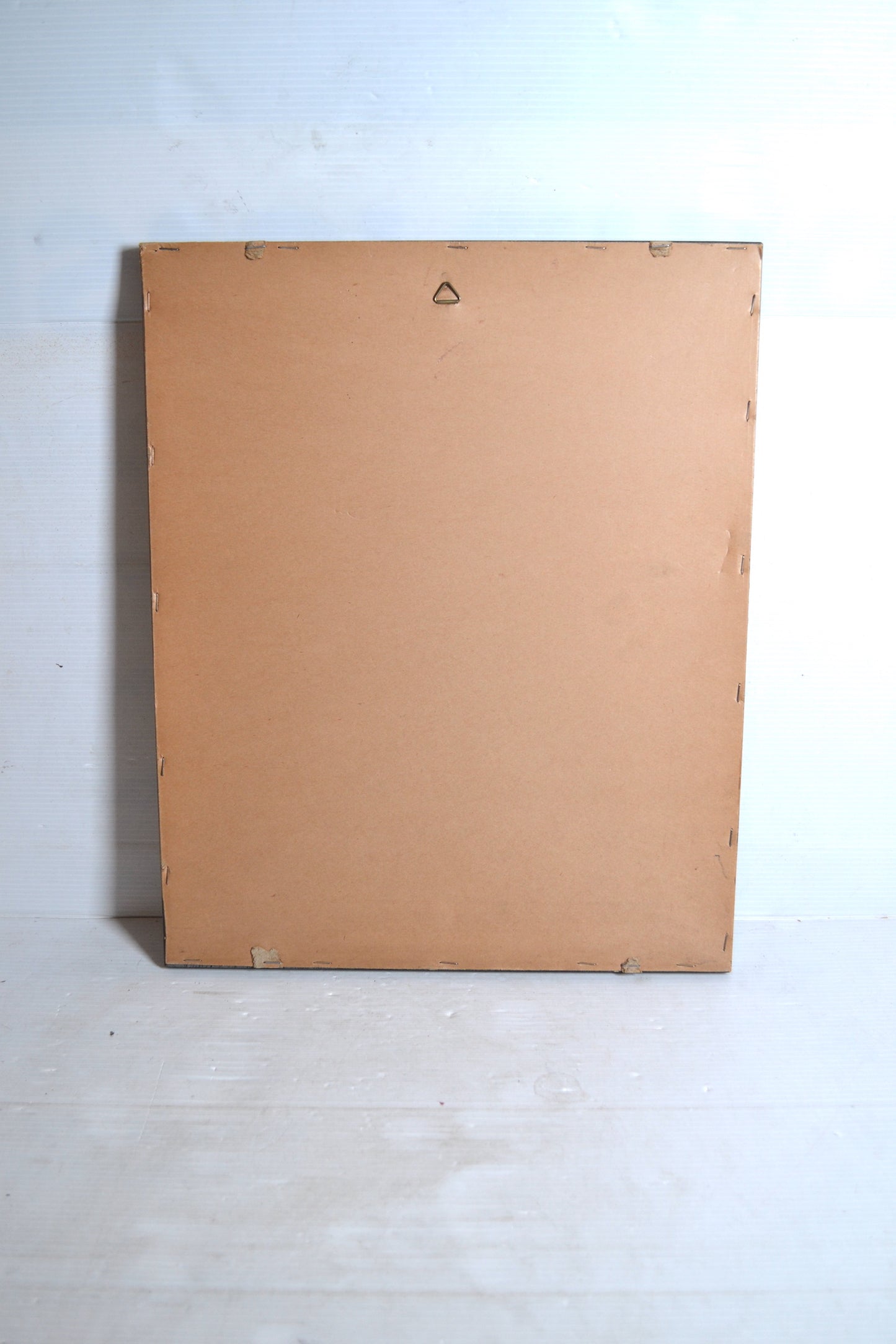 Cadre botanique oiseau du Paradis