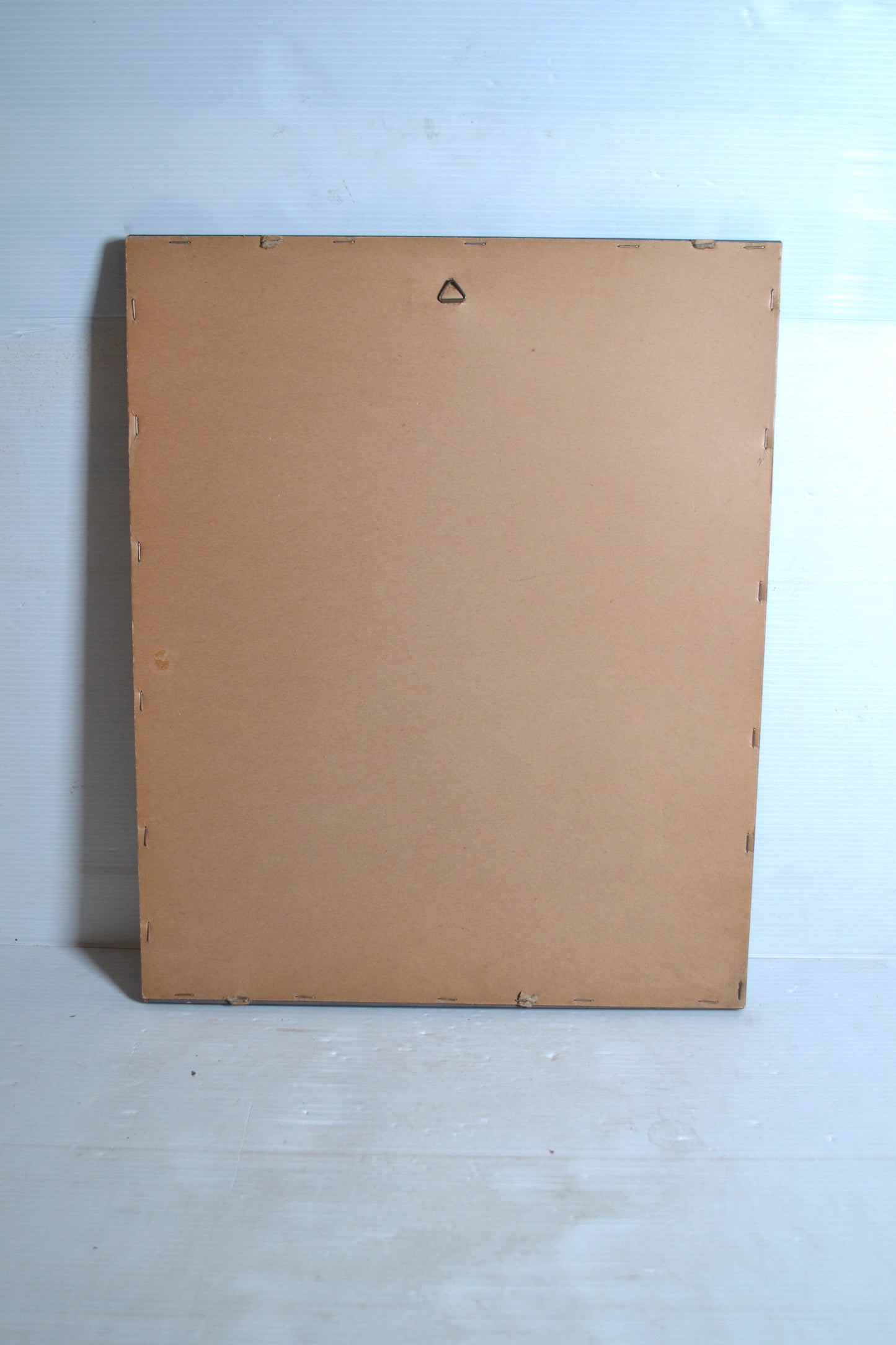 Cadre botanique Poinsettia