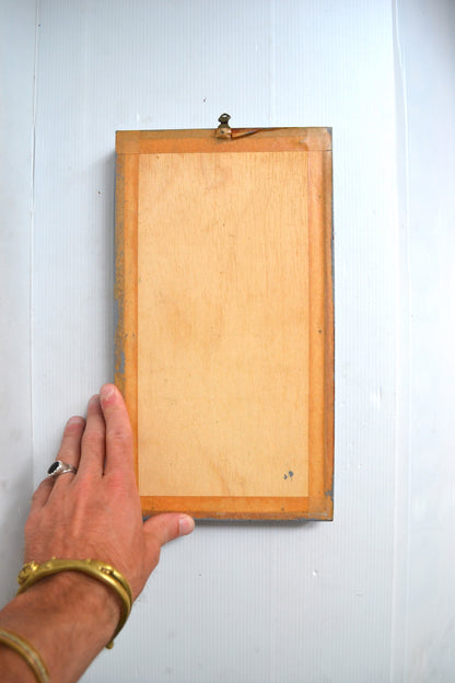 Cadre vitrine à papillons