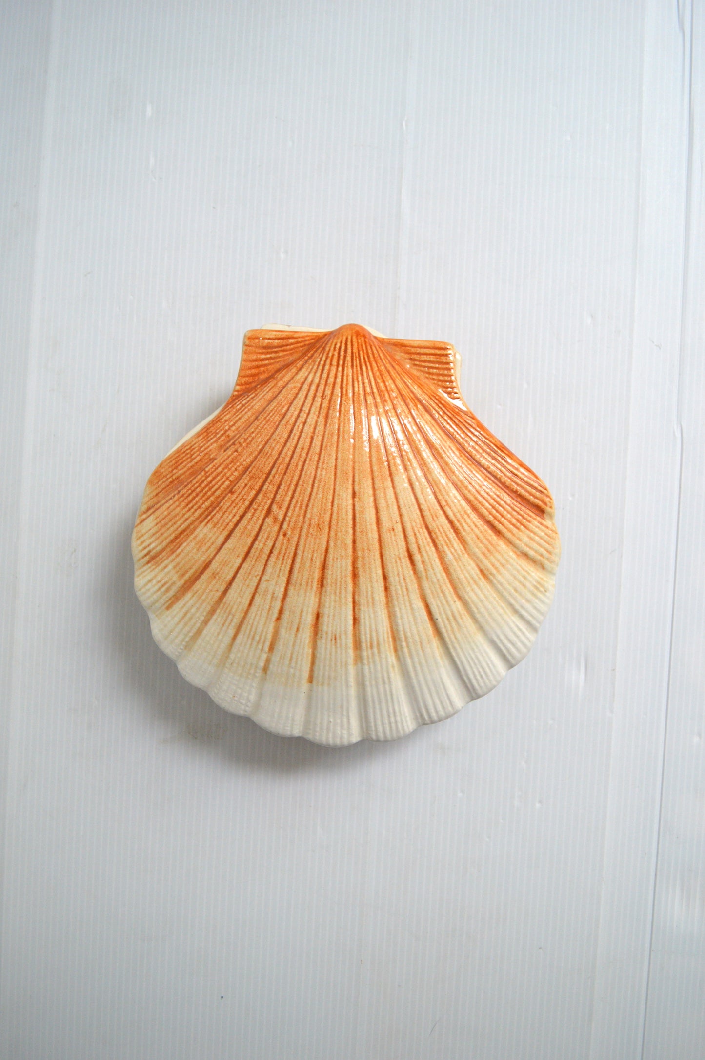 Terrine Coquillage