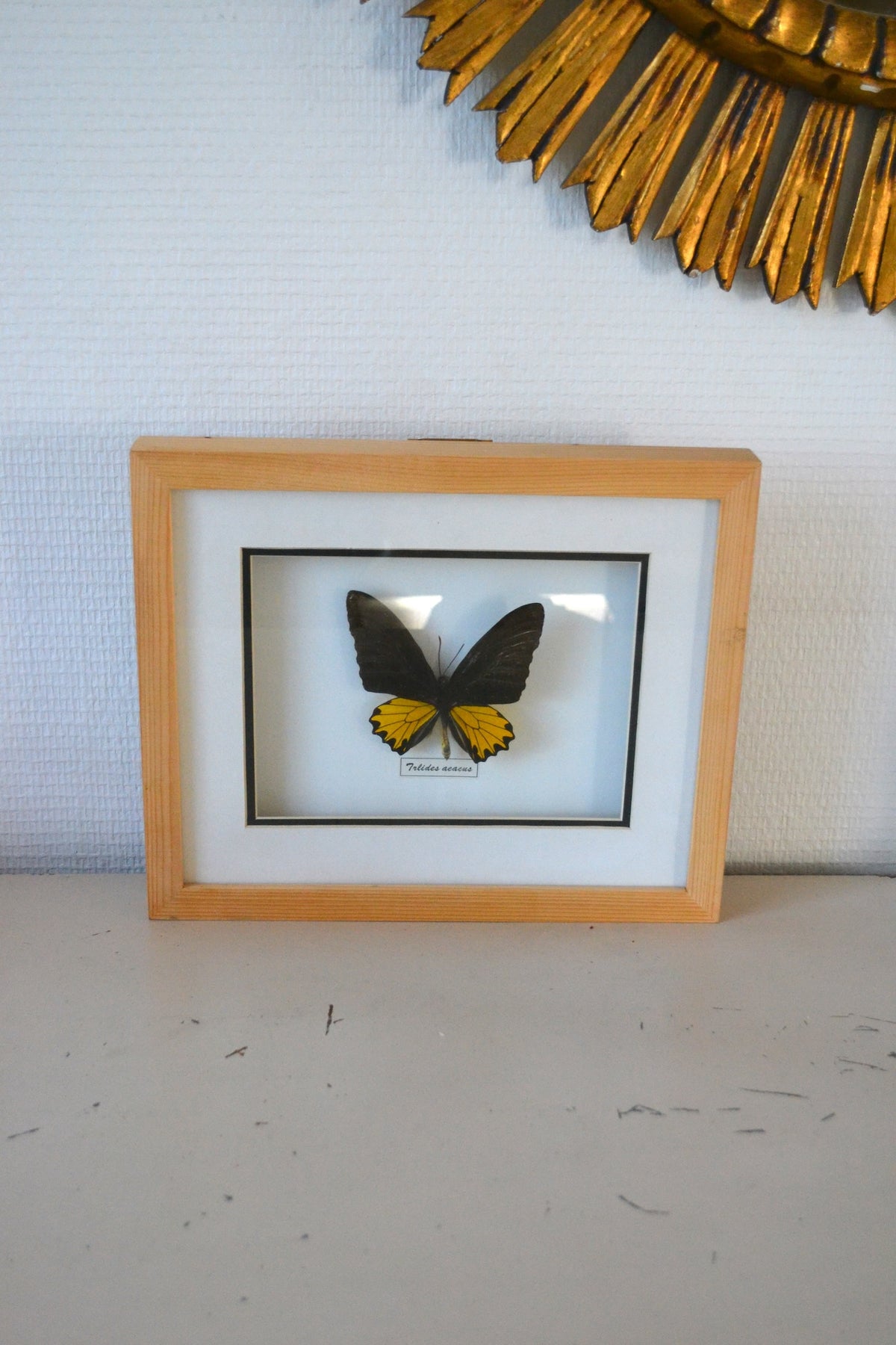 Cadre Papillon