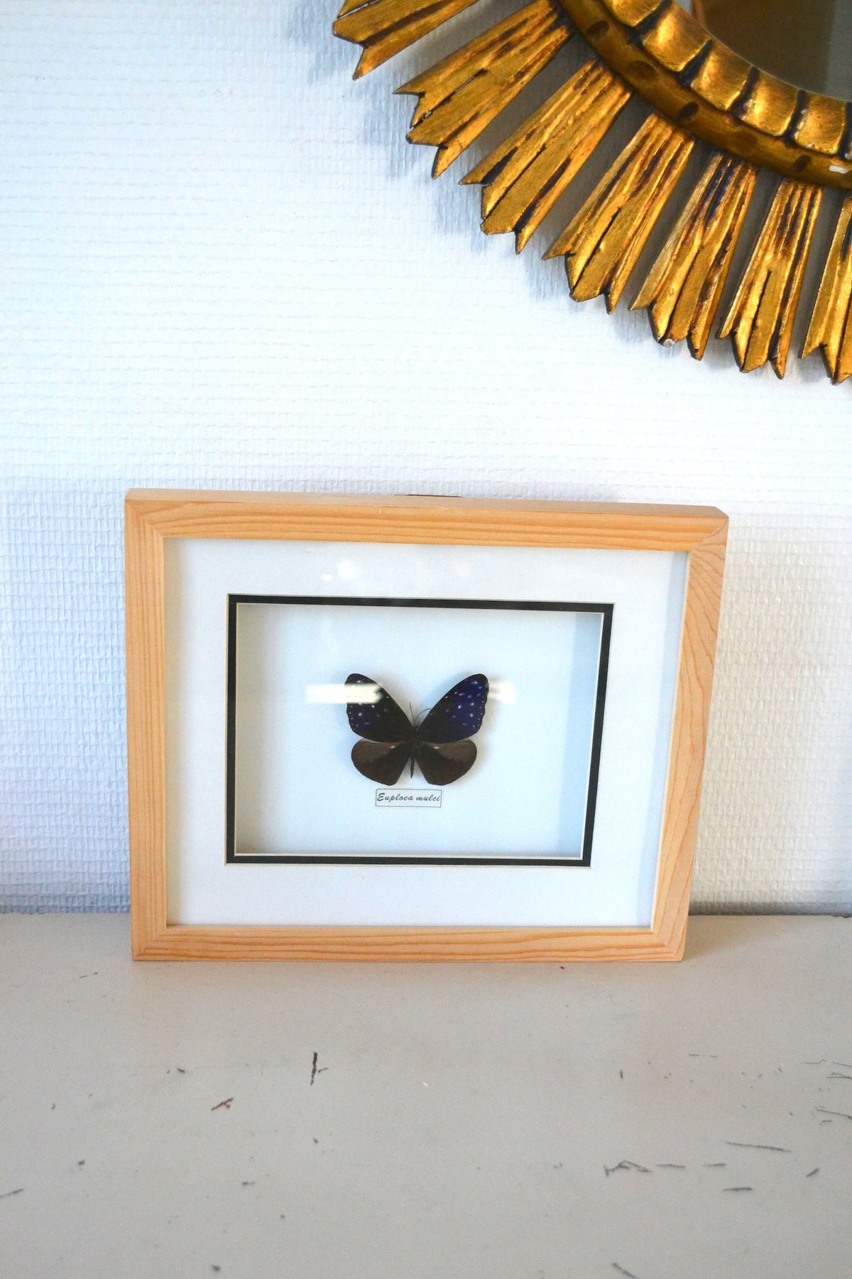 Cadre Papillon