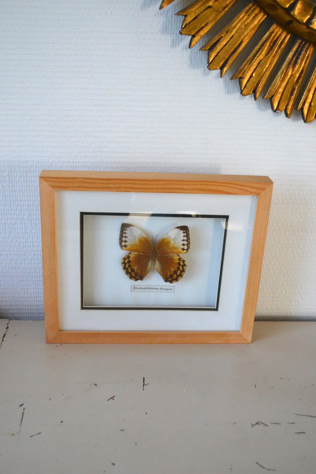 Cadre Papillon