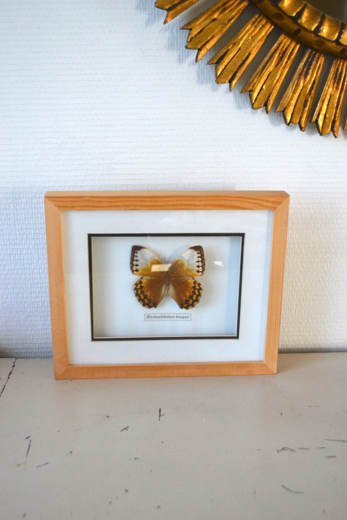 Cadre Papillon
