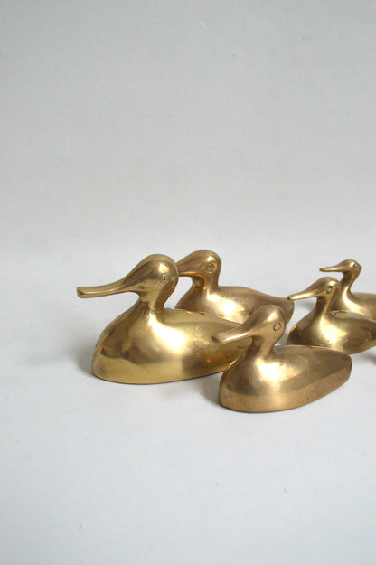 Série de canards en laiton