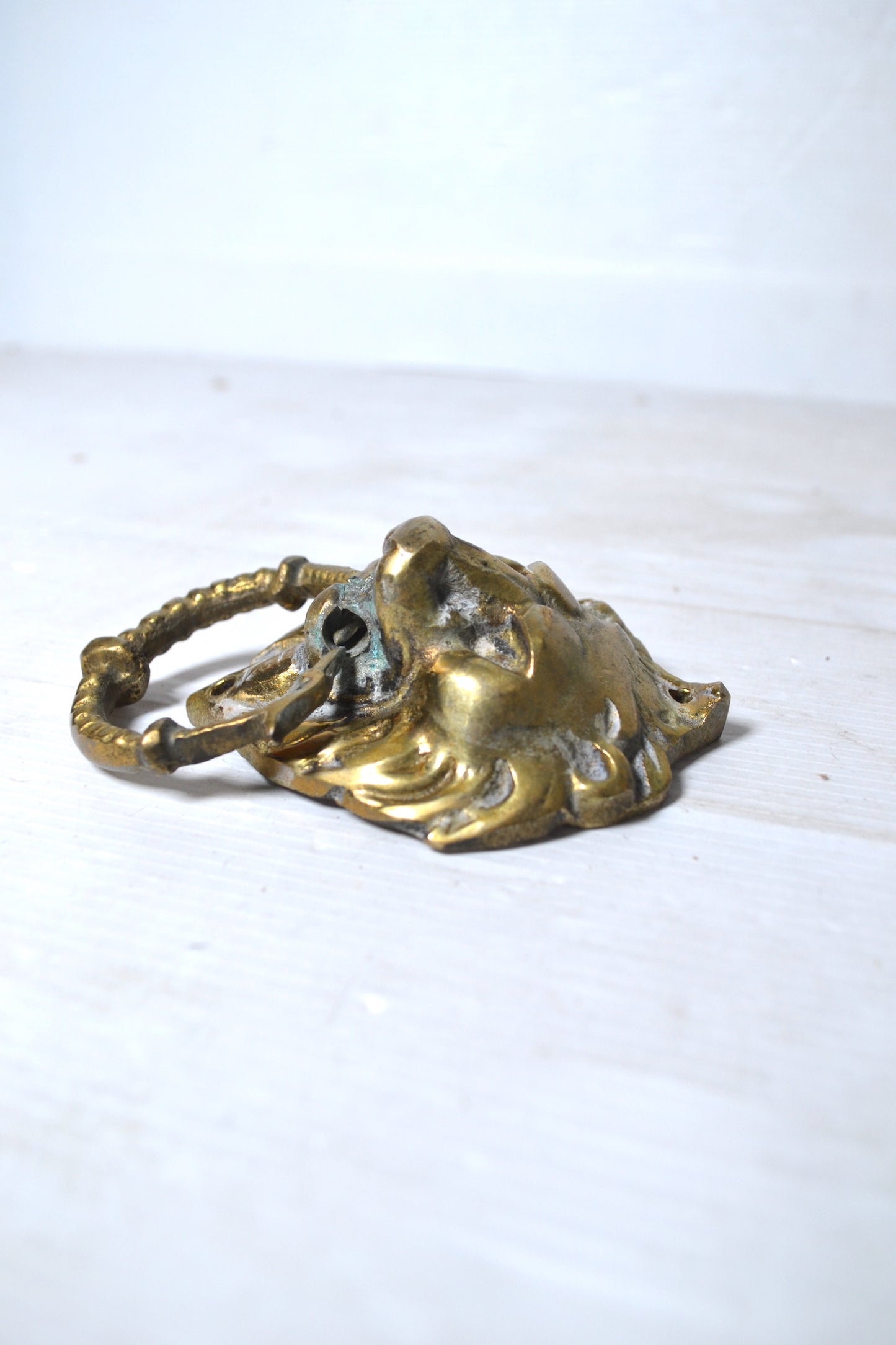 Petit heurtoir lion en laiton