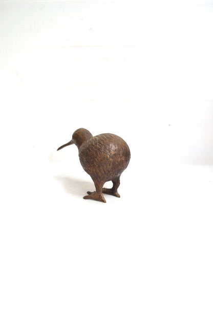Kiwi en bronze