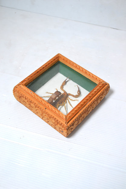 Petit cadre scorpion