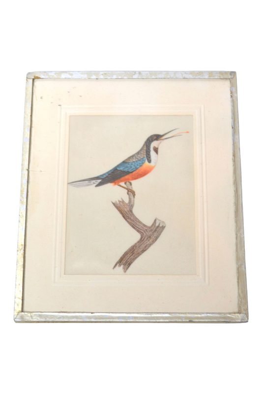 Cadre oiseau