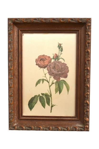 Peinture sur soie botanique