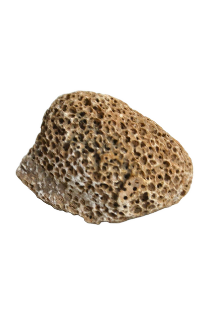 Petit corail boule