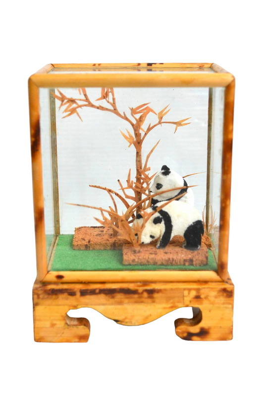 Vitrine Pandas