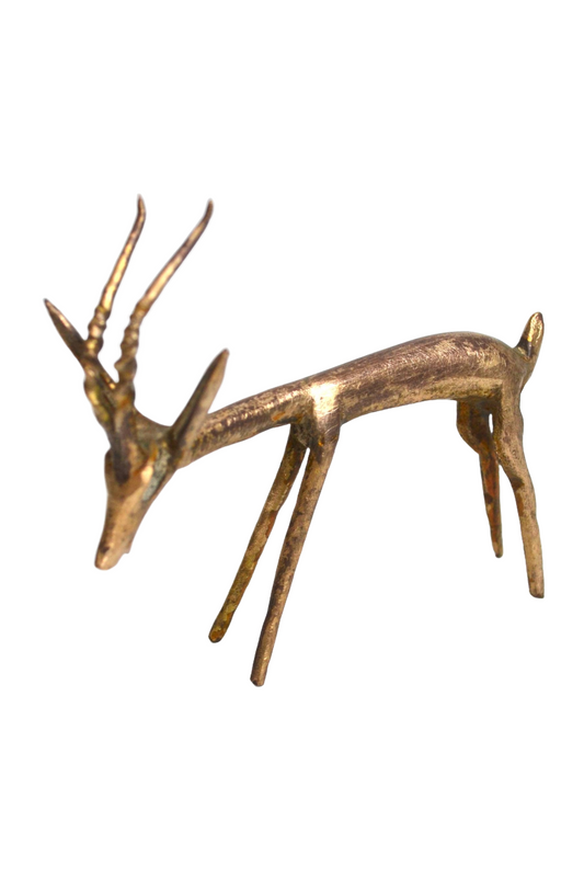 Gazelle africaine