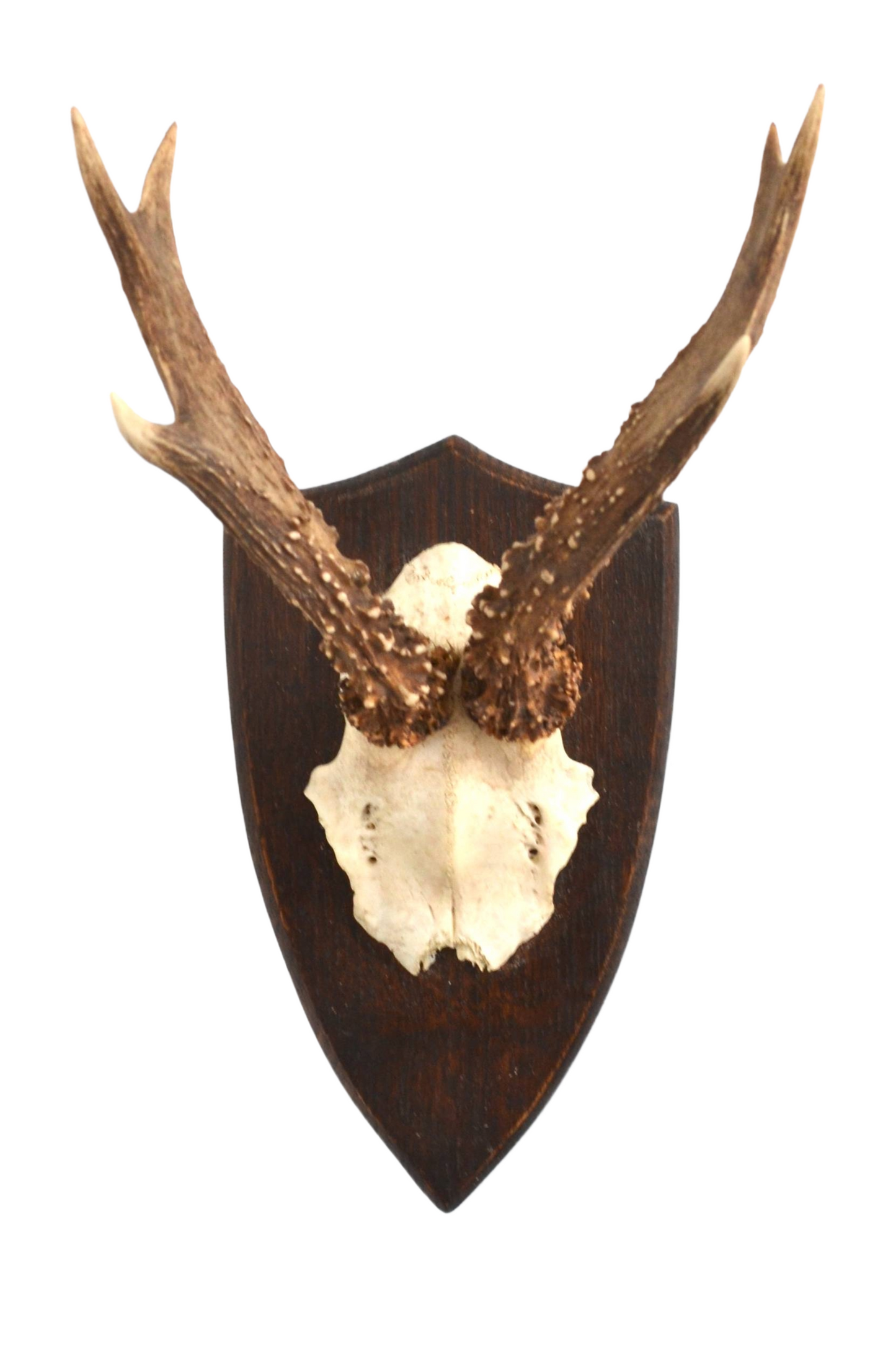Trophée