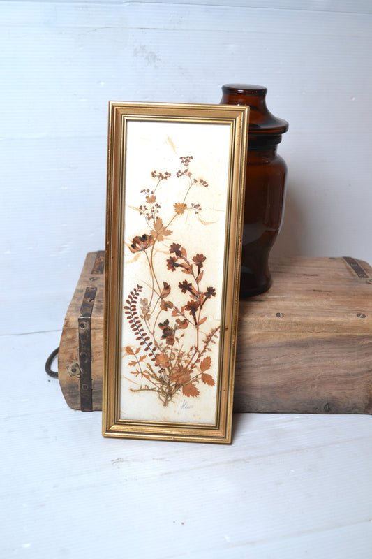 Cadre de fleurs séchées