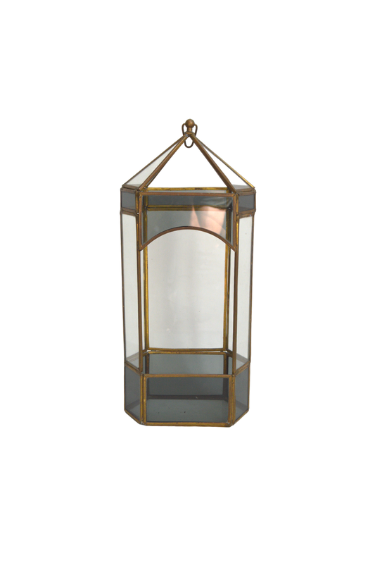 ancien-terrarium