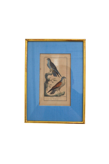 Cadre lithographique Oiseaux
