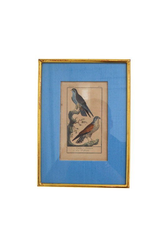 Cadre lithographique Oiseaux