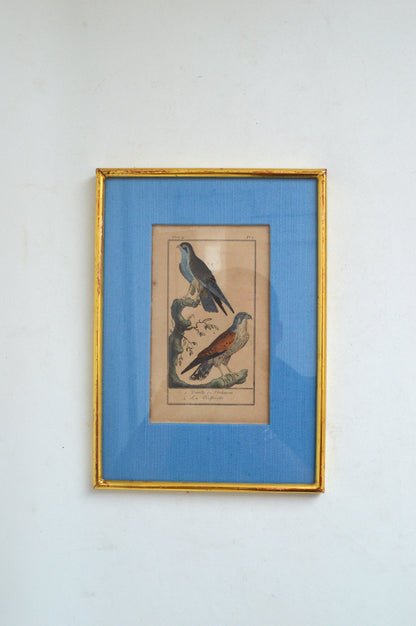 Cadre lithographique Oiseaux