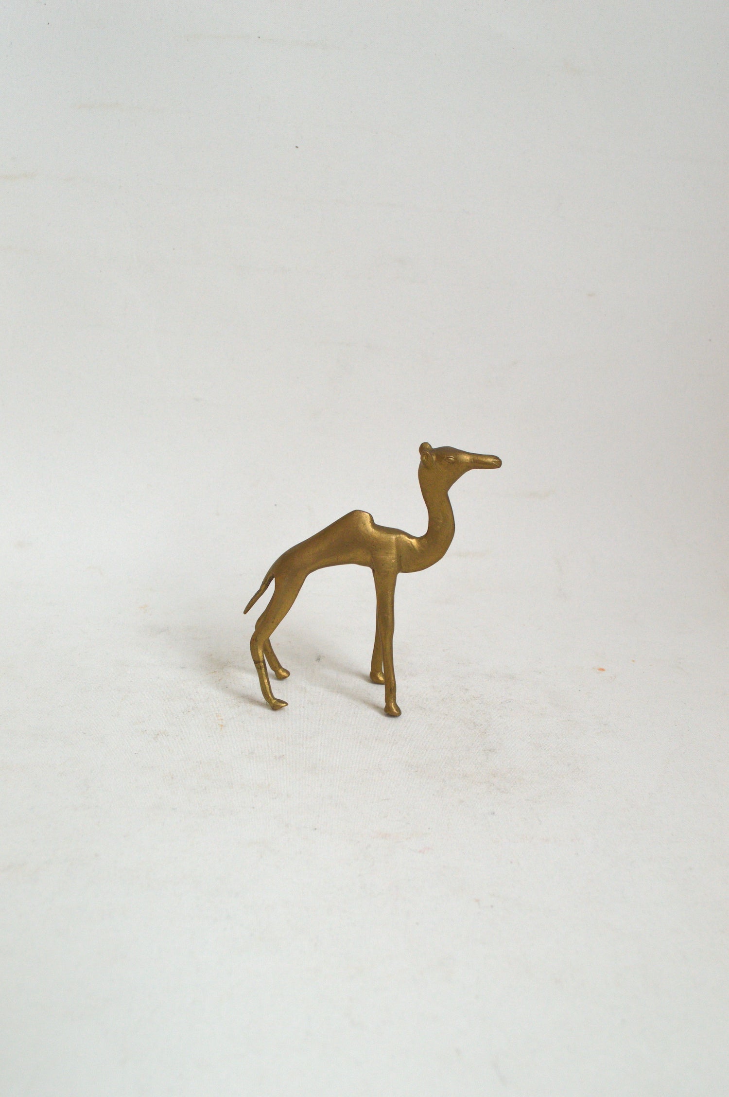 animal-déco-doré
