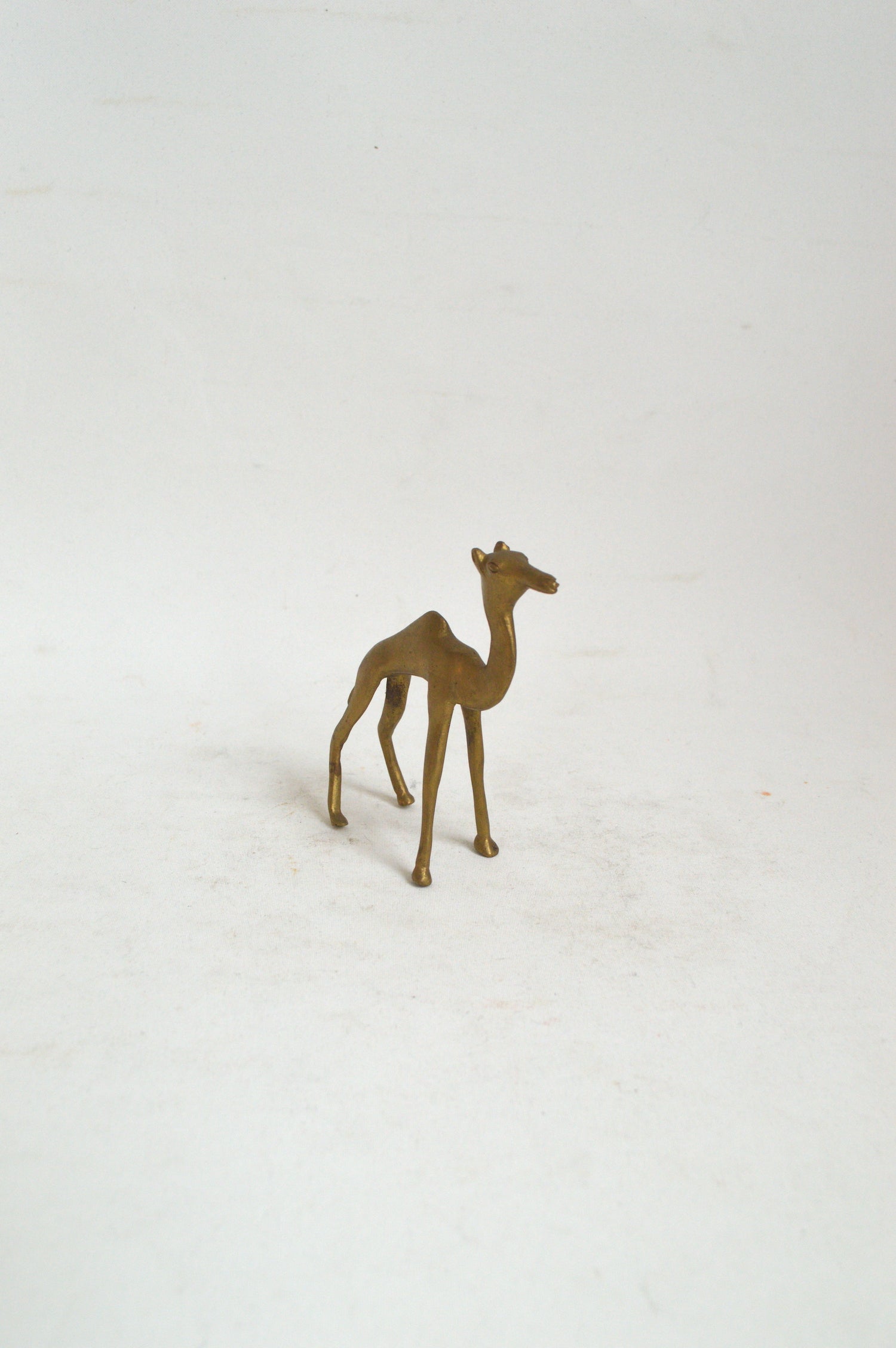 animal-décoratif-doré