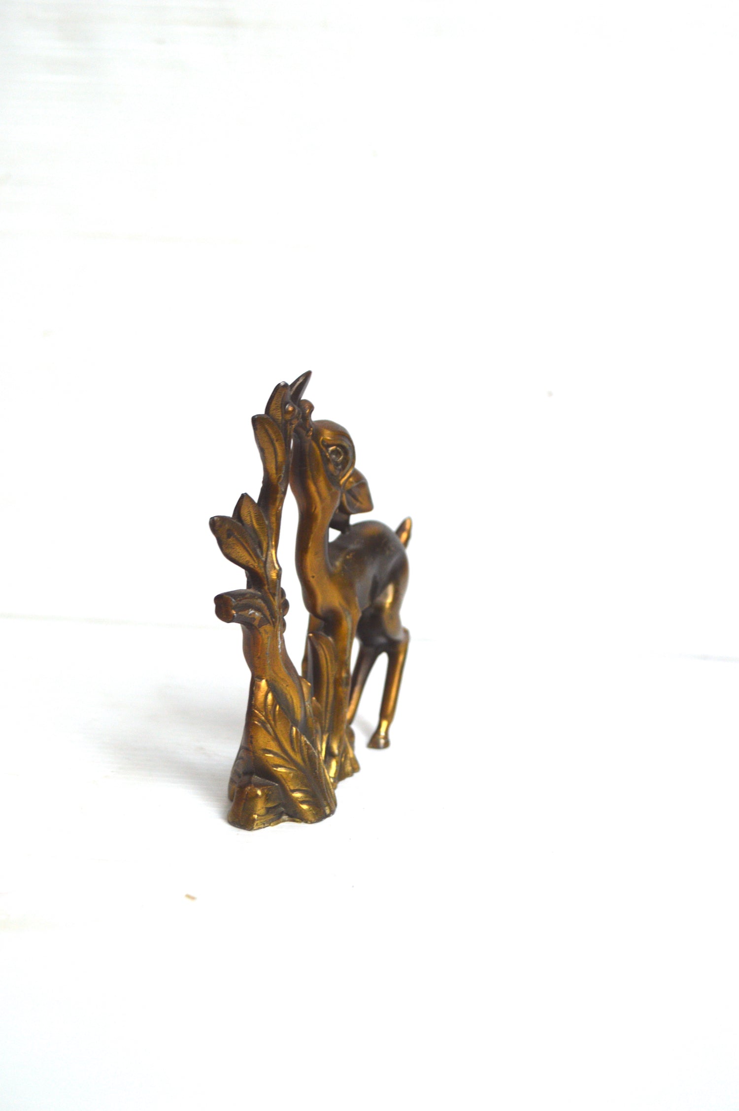 biche-doré