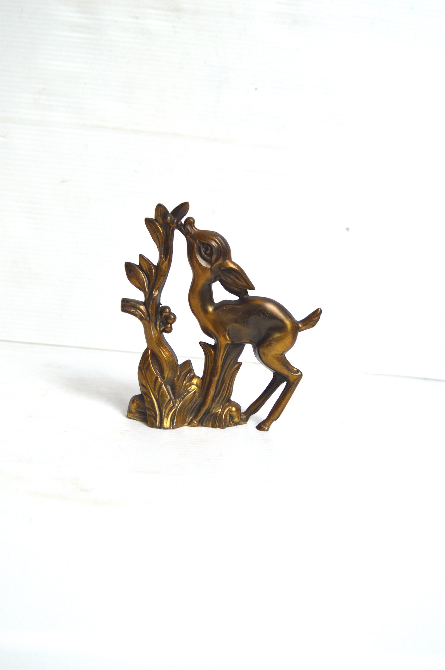 biche-en-régule