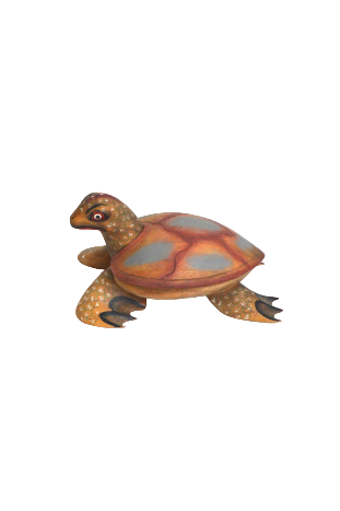 Boîte Tortue