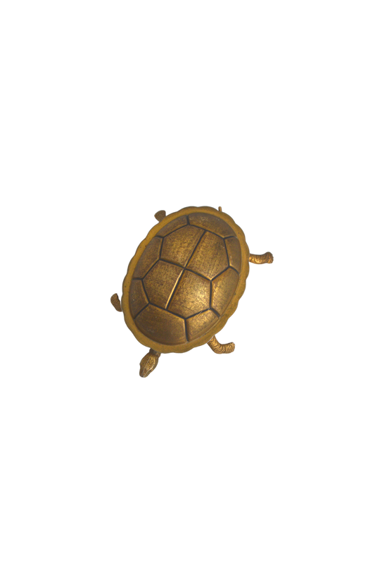 boite-tortue