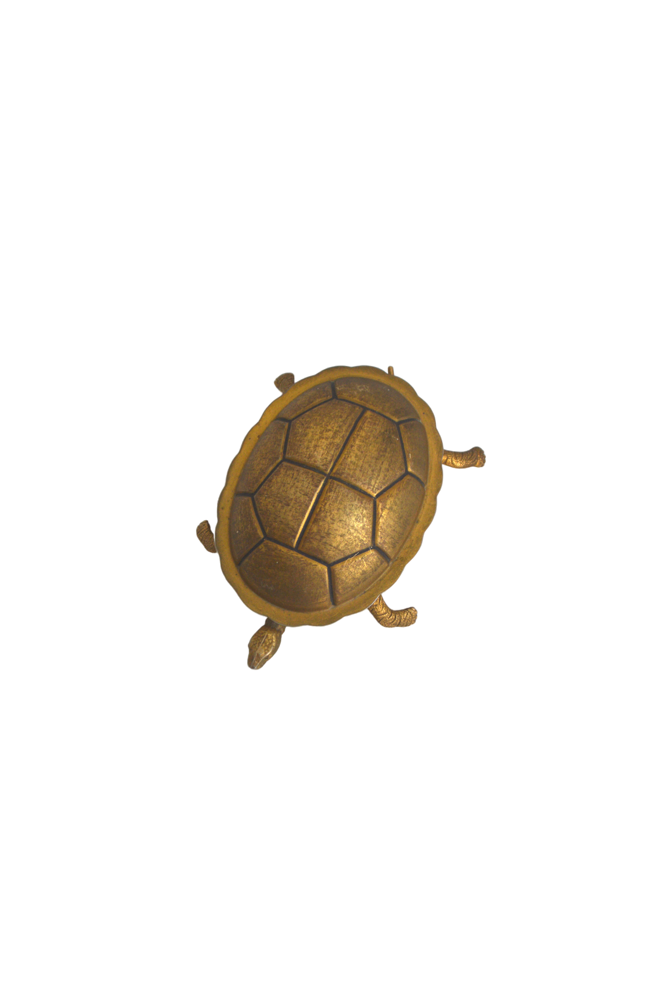 Boîte Tortue