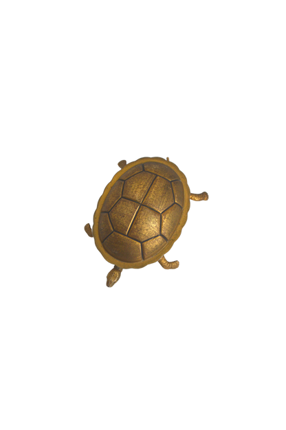 Boîte Tortue