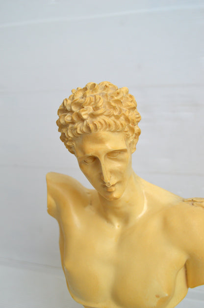 buste-grecque
