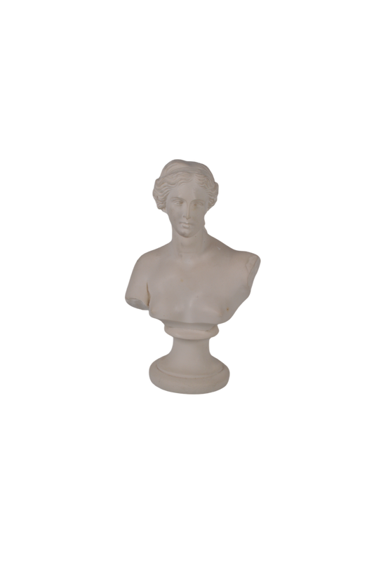 Buste de Venus