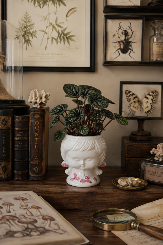 Cache-pot Headplanter vintage