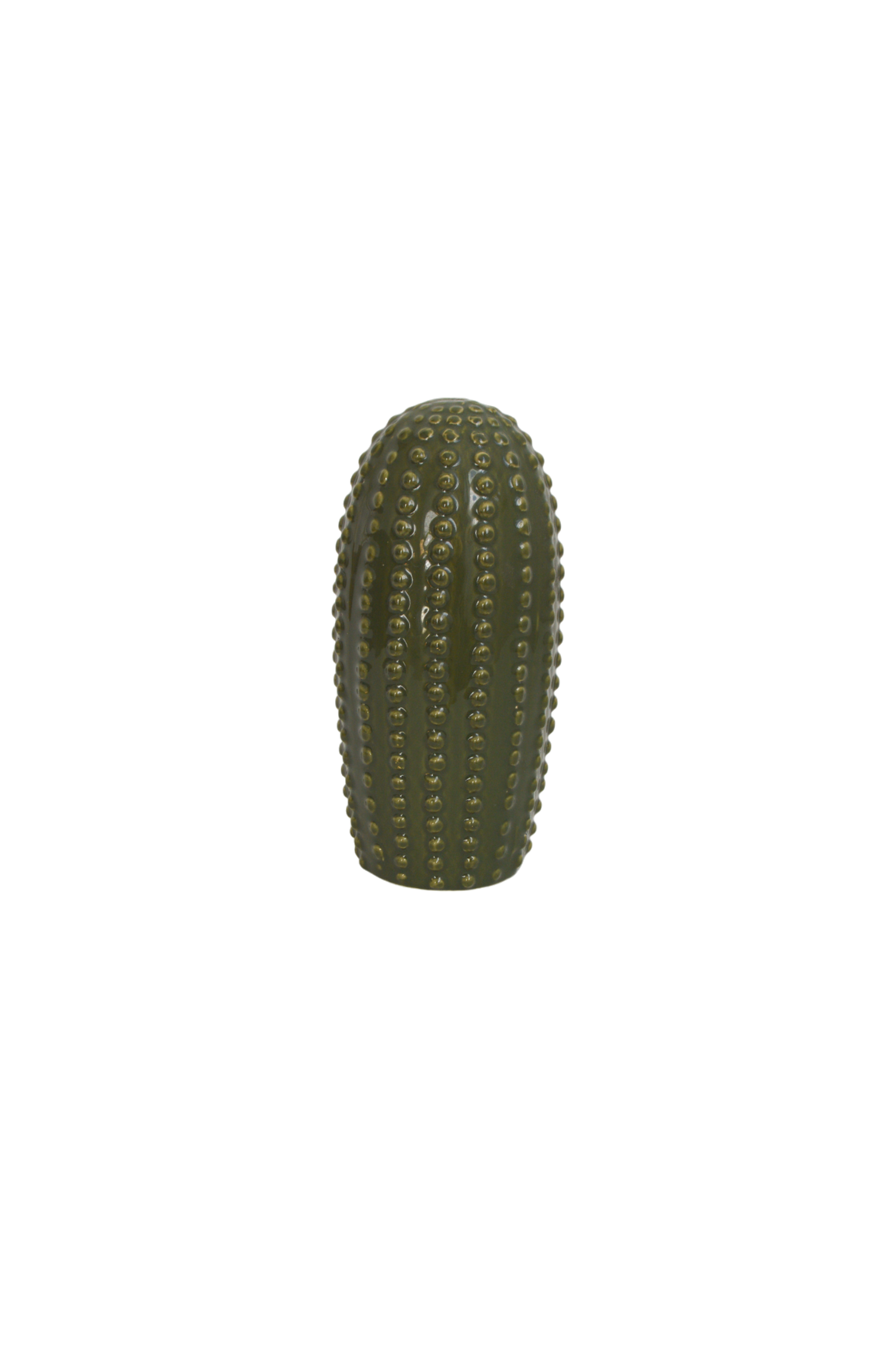 cactus-deco