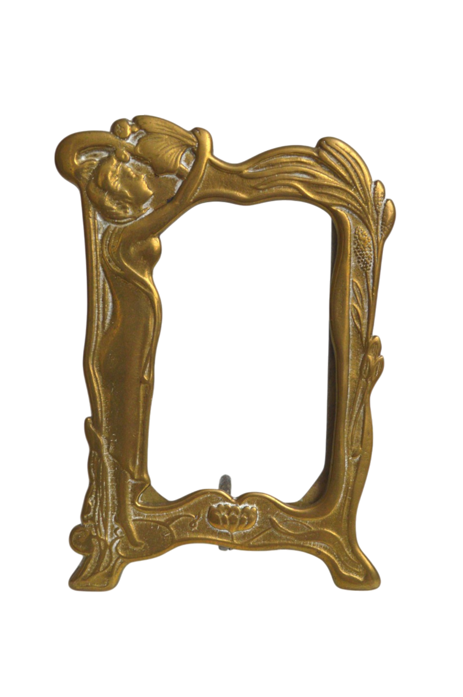 cadre-art-nouveau