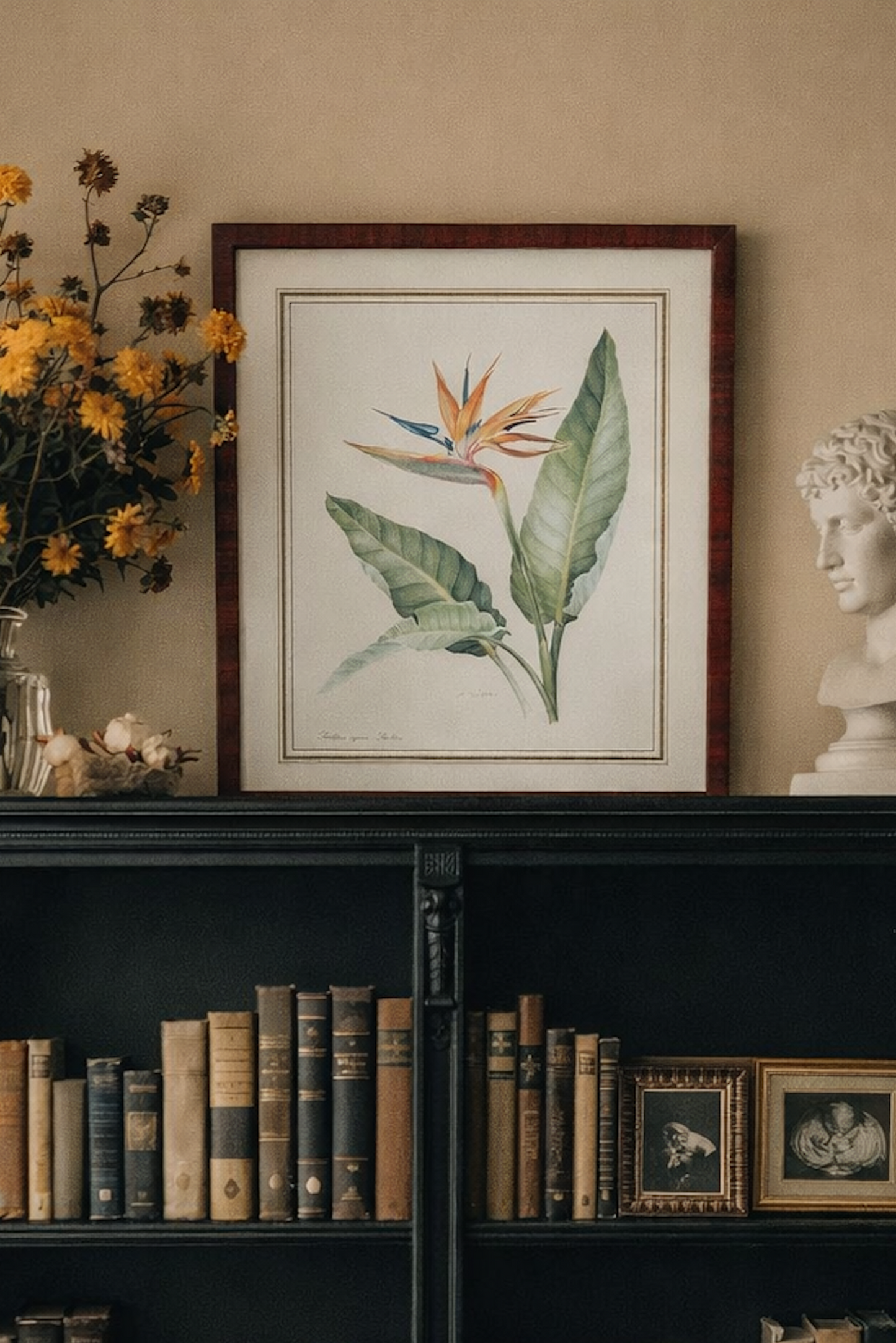 Cadre botanique oiseau du Paradis