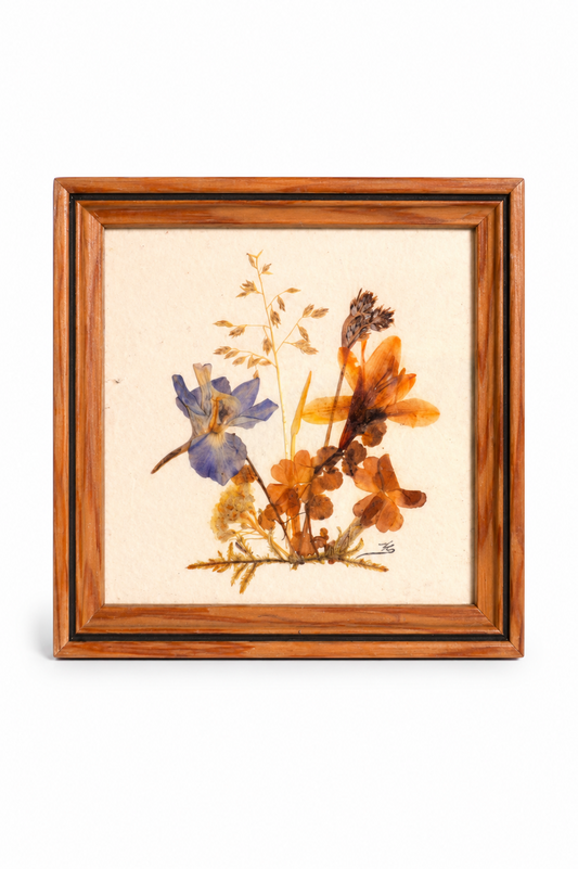 Cadre de fleurs séchées
