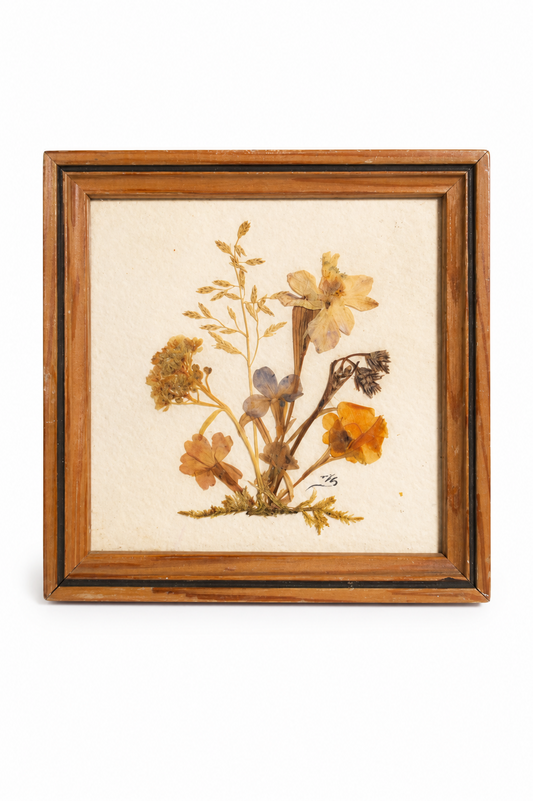 Cadre de fleurs séchées