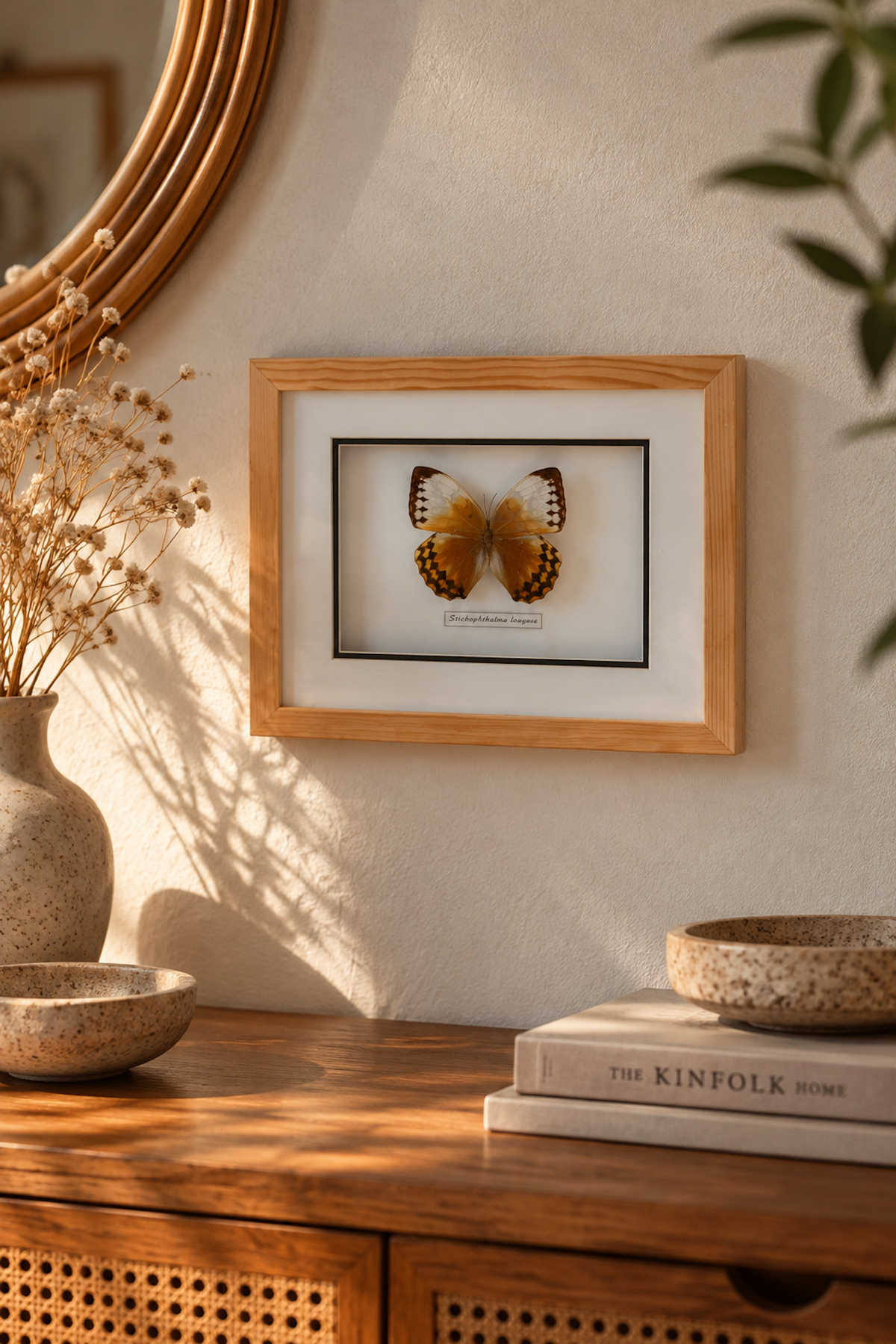 Cadre Papillon