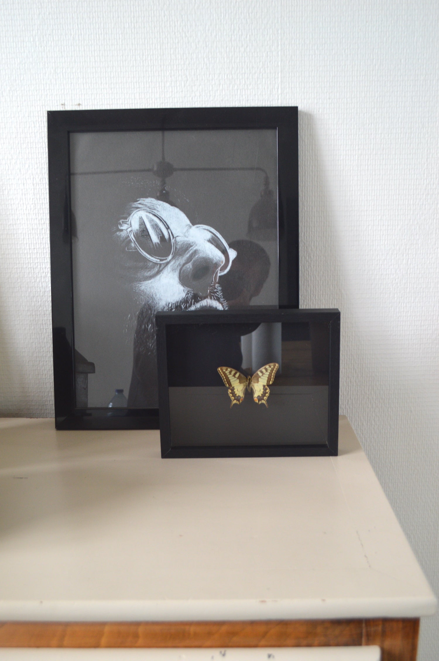 cadre-papillon