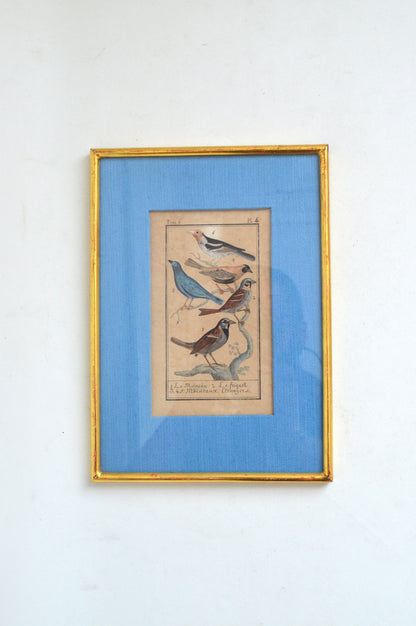 cadre-vintage-oiseaux