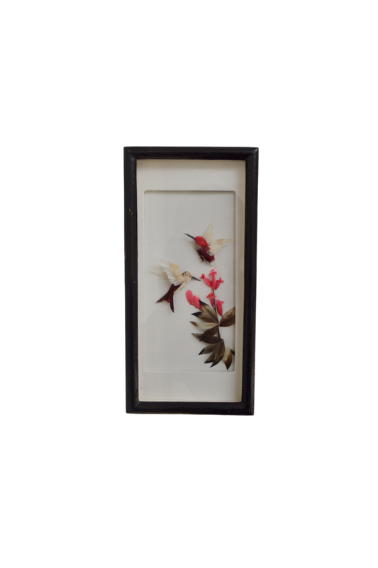 cadre vitrine oiseaux