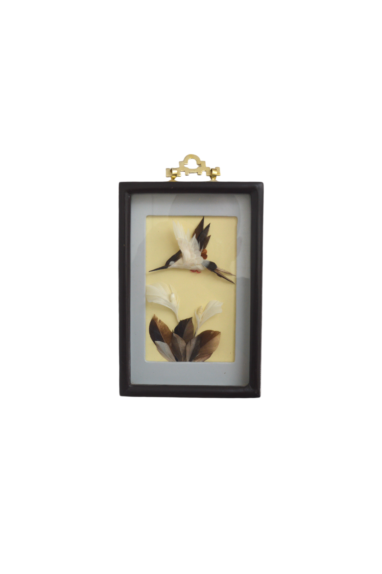 cadre-vitrine