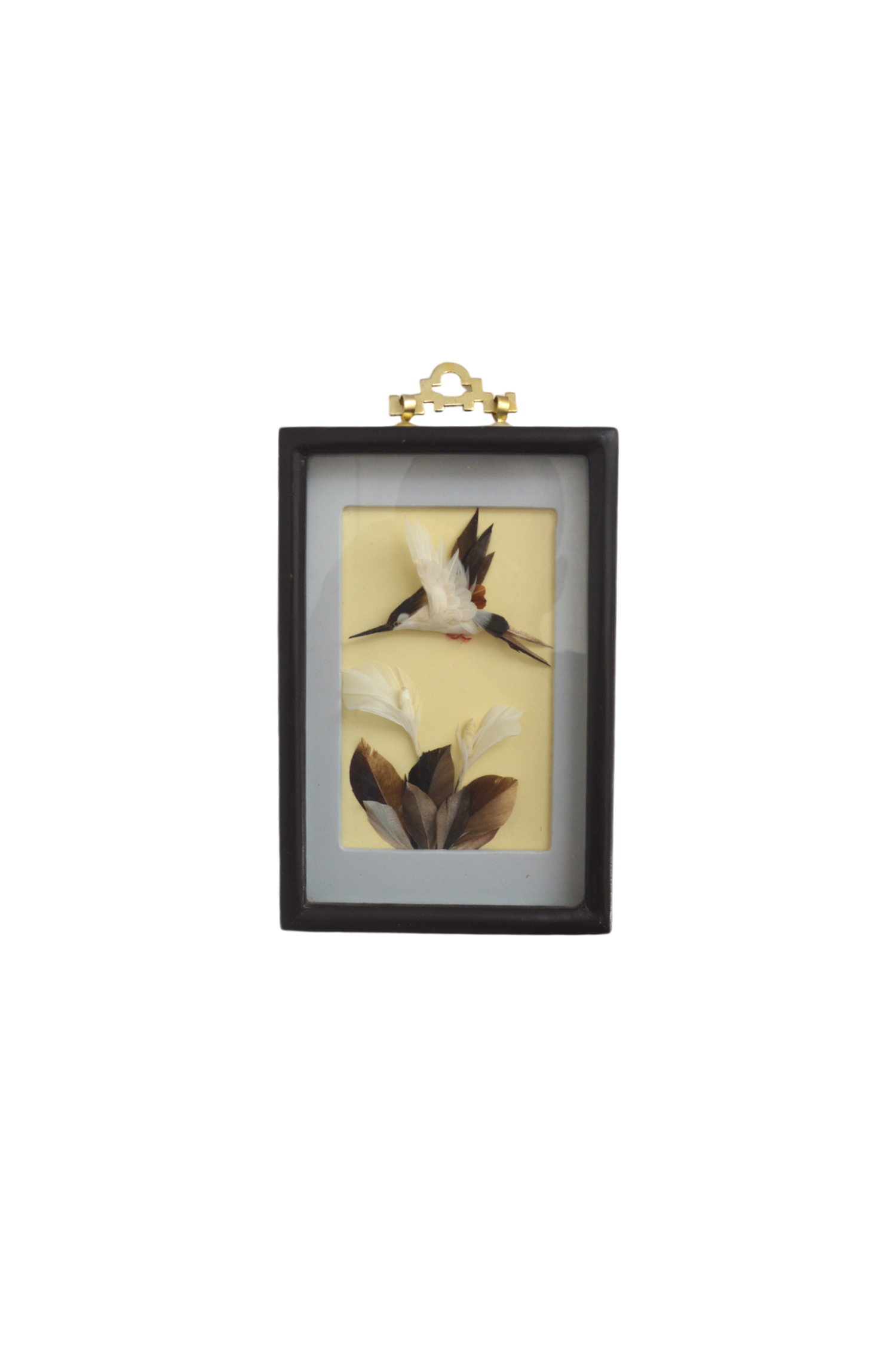 cadre-vitrine
